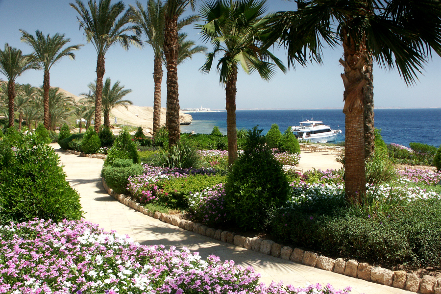 Egypte Sharm