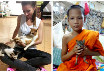 Animaux Luang Prabang