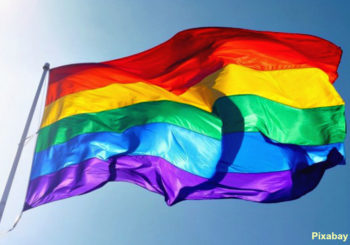 gay Brésil