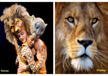 Lion King