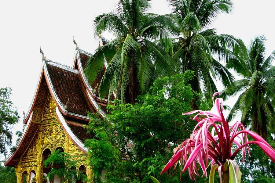 Laos : VIDEO Luang Prabang