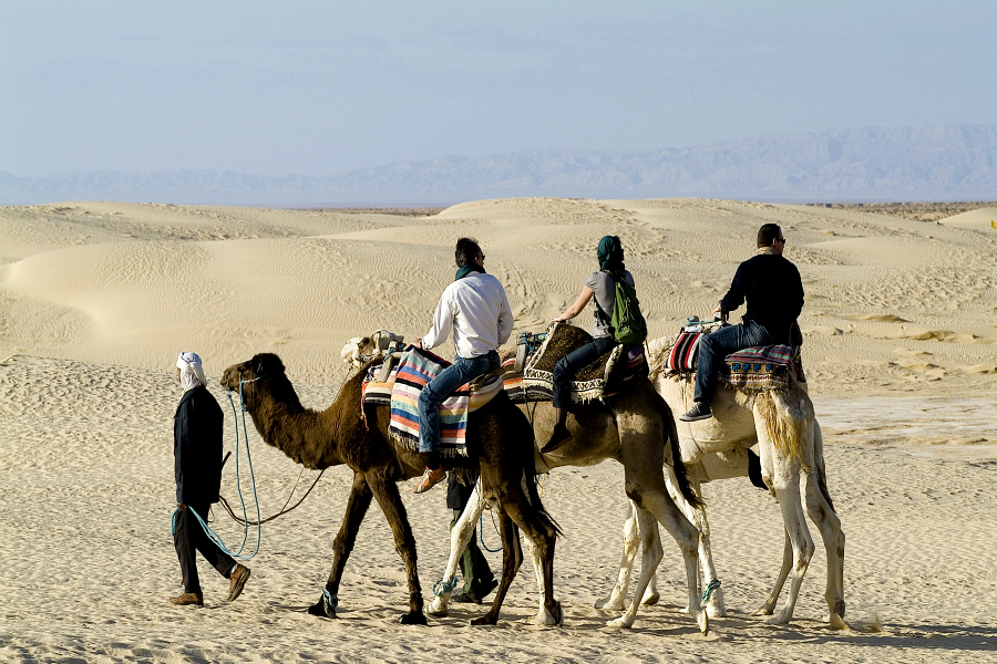 Tunisie : VIDEO du Sud à la capitale