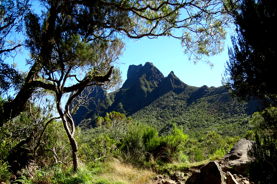 Océan Indien : VIDEO La Réunion