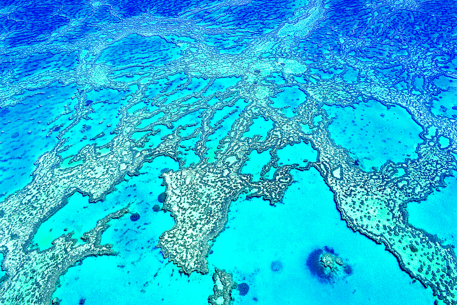 Australie: VIDEO Grande barrière Corail