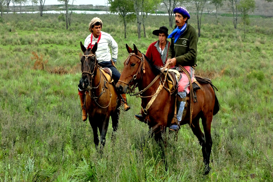 Argentine : VIDEO Santa Cecilia