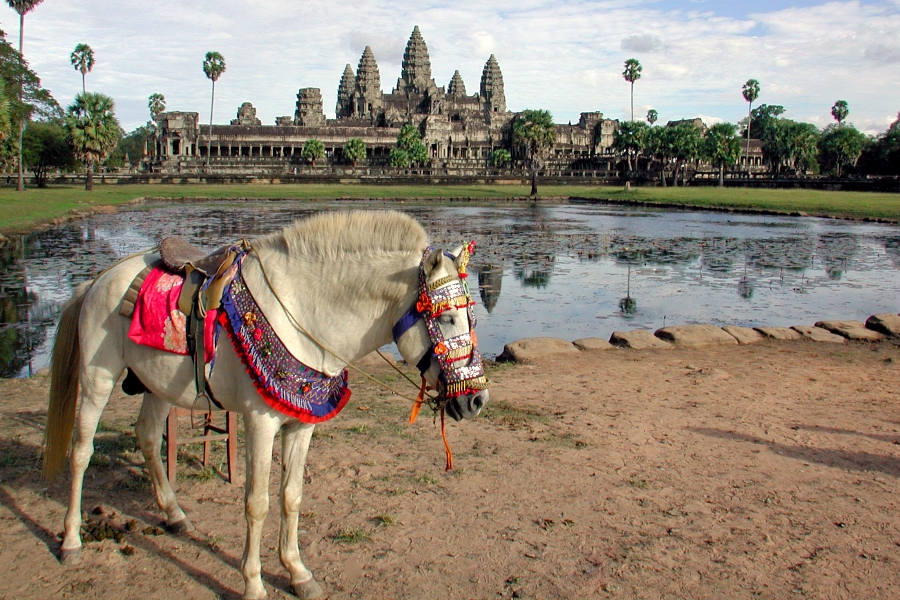 Cambodge: VIDEO Siem Reap