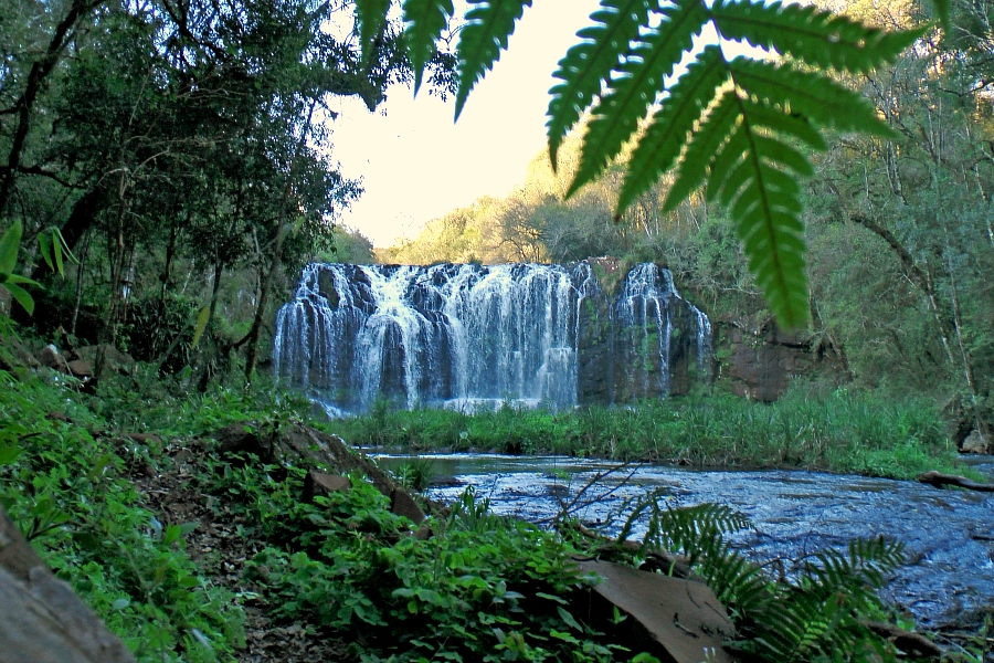 Argentine: VIDEO nature sauvage du Nord-Est