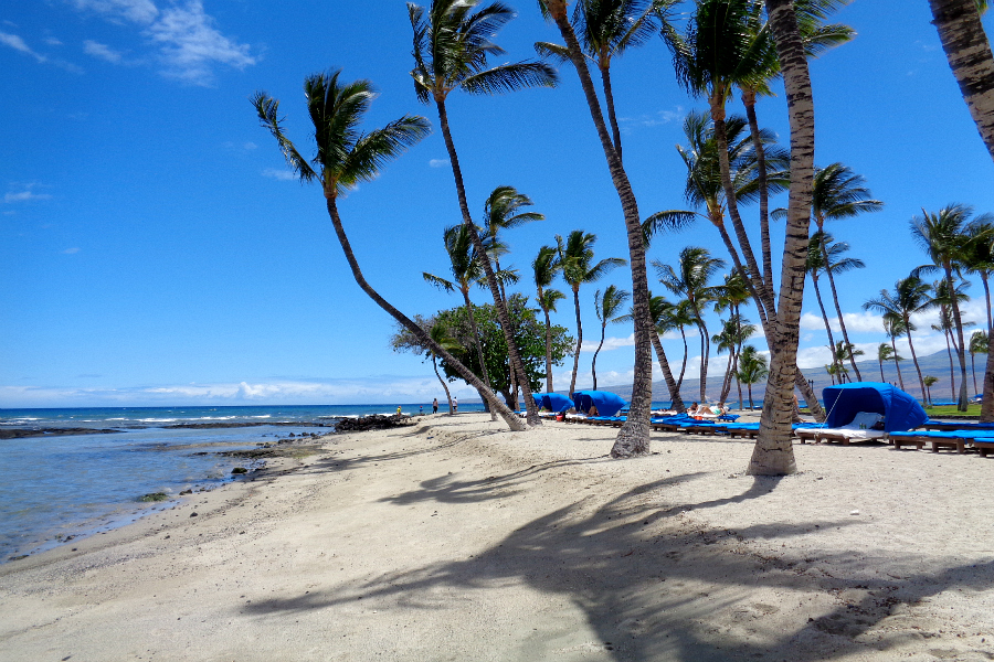 Croisière vers Hawaï