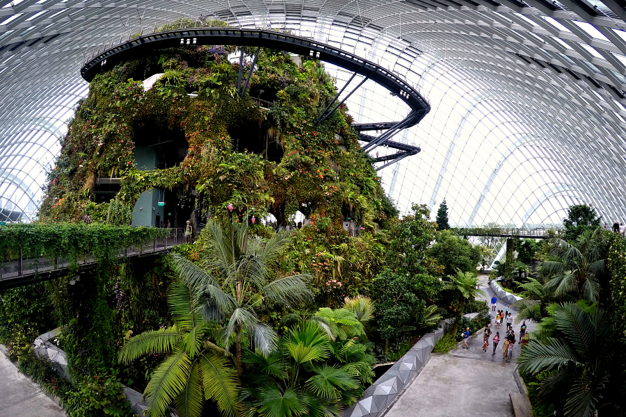 Singapour : jardins en folie