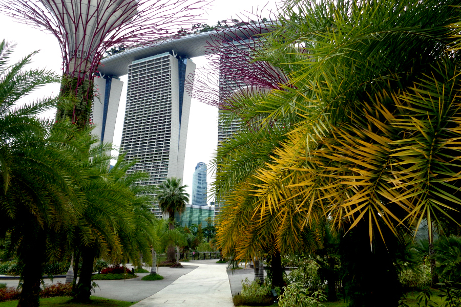 Singapour : VIDEO jardins de Marina Bay