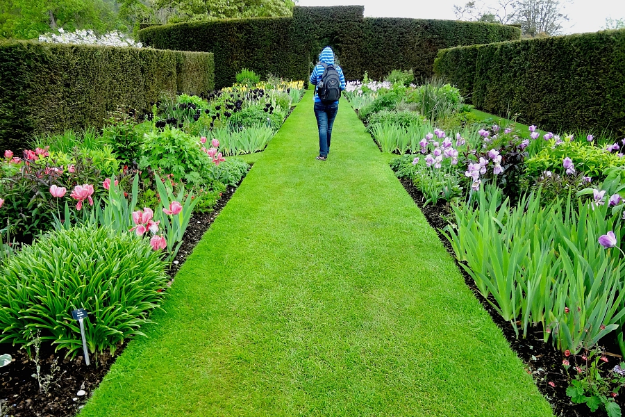 Irlande du Nord : VIDEO jardins de Belfast