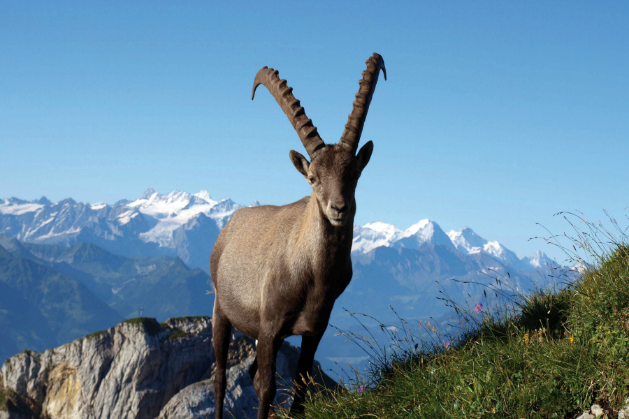Suisse : VIDEO Mont Pilate