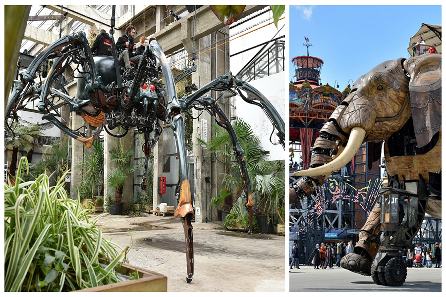 Araignée géante à Nantes