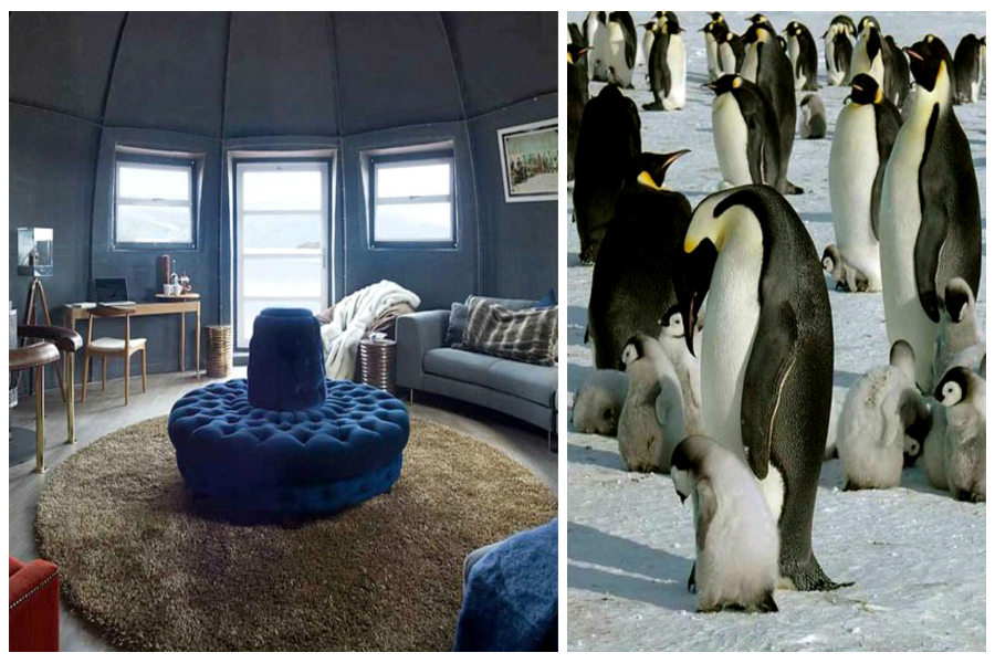 Polluer l’Antarctique : un luxe de nantis ?
