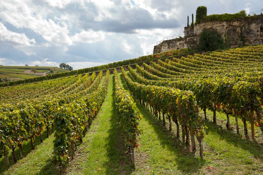 France : St-Emilion