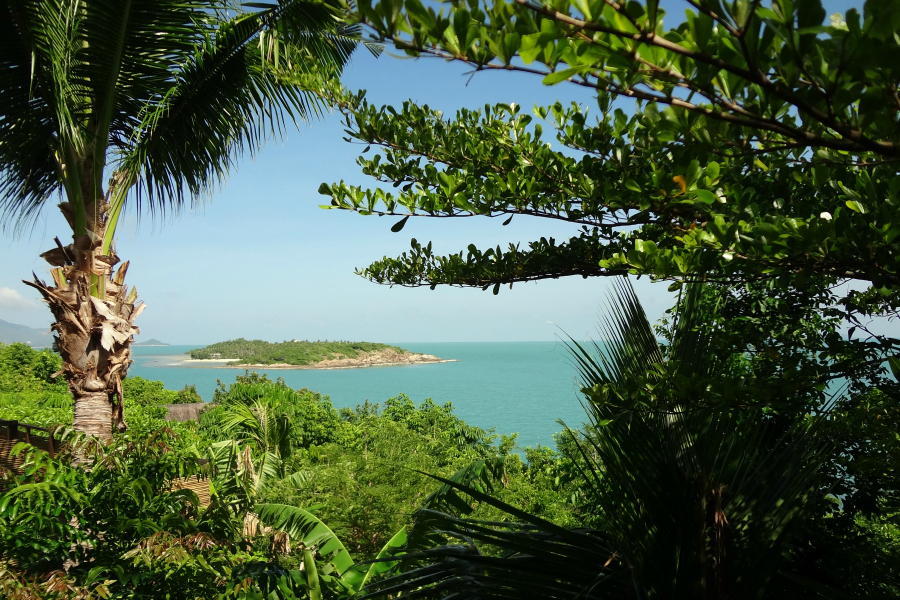 Thaïlande : Koh Samui