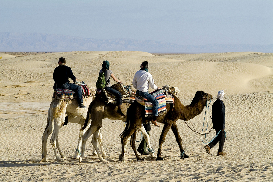 Retourner en Tunisie ?