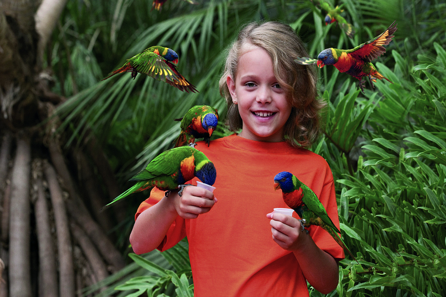 France :  Parc des Oiseaux (Villars-les-Dombes)