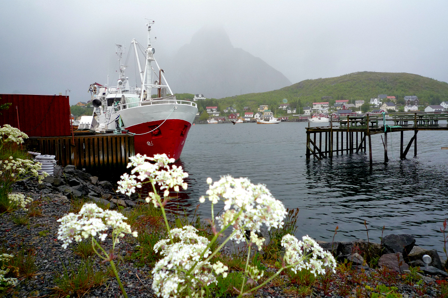 Norvège : îles Lofoten