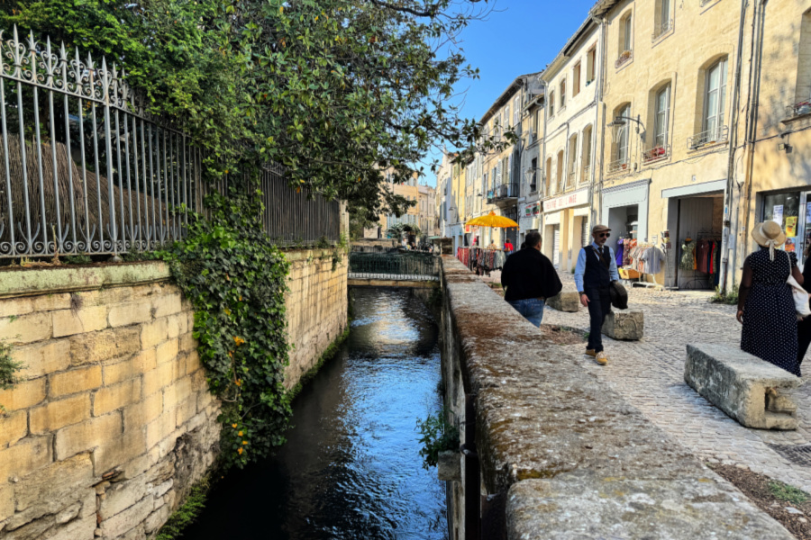 France : Avignon (bons plans)