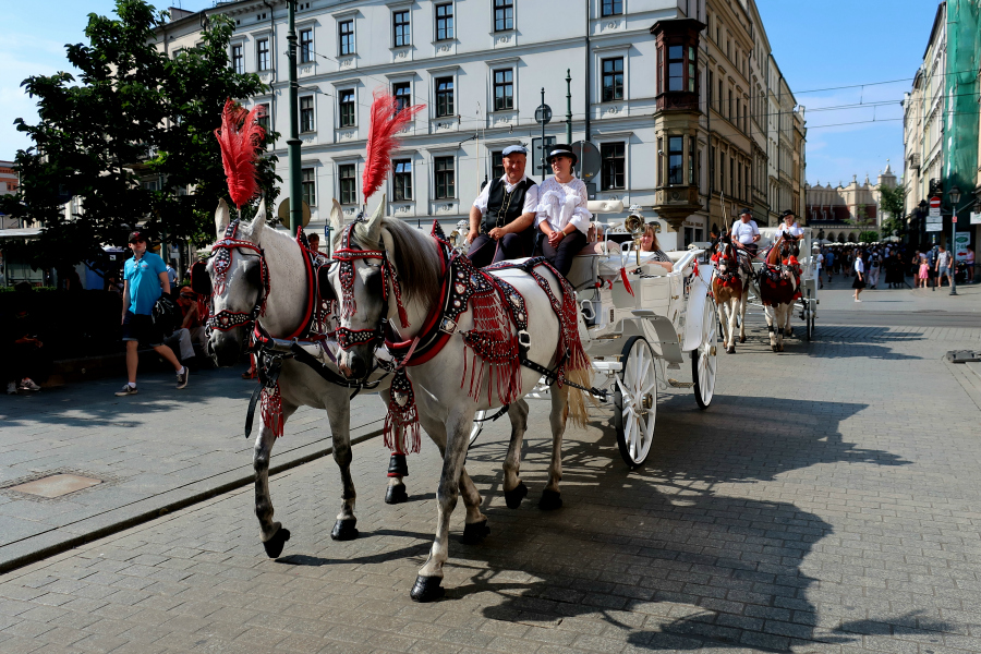 Pologne : VIDEO Cracovie