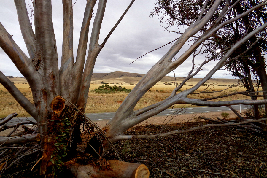 Australie : l’Outback