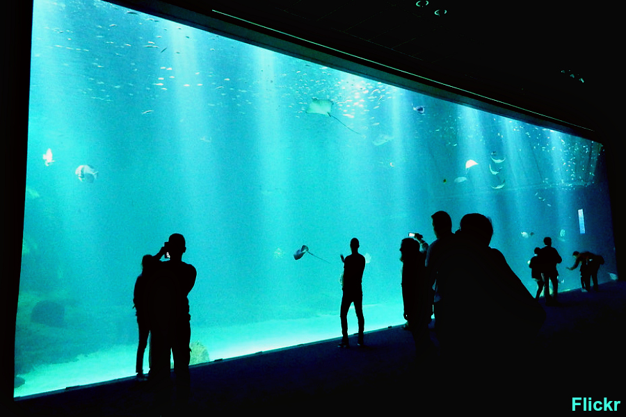 France : Nausicaa (Pas-de-Calais)