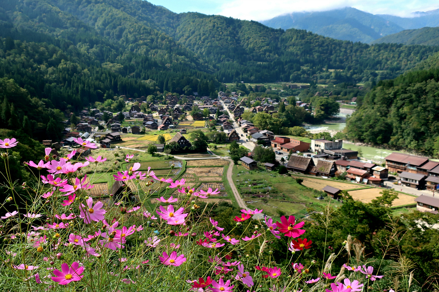 Japon : Shirakawago