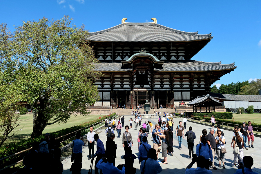 Japon : VIDEO Nara