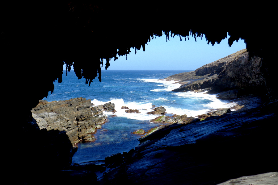 Australie : Kangaroo Island