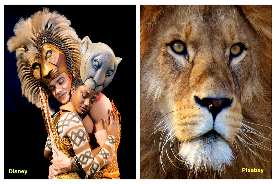 Le Roi Lion fêté à Londres…et un geste pour l’espèce