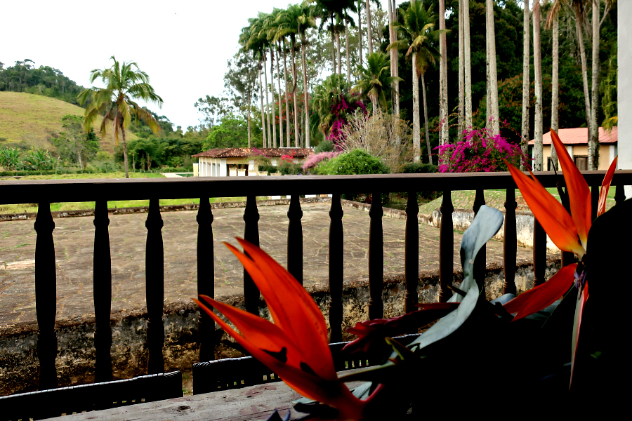 Brésil : vallée du café