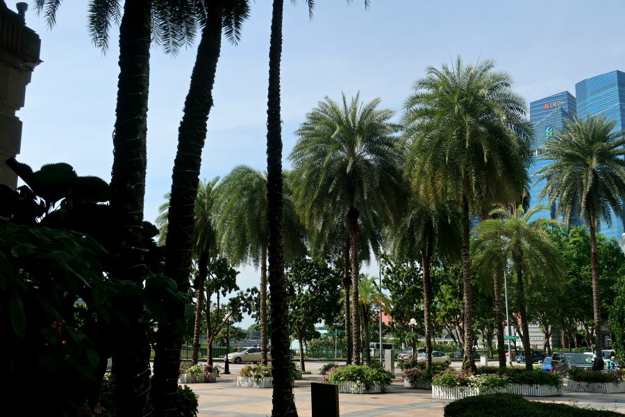 Singapour : ville verte