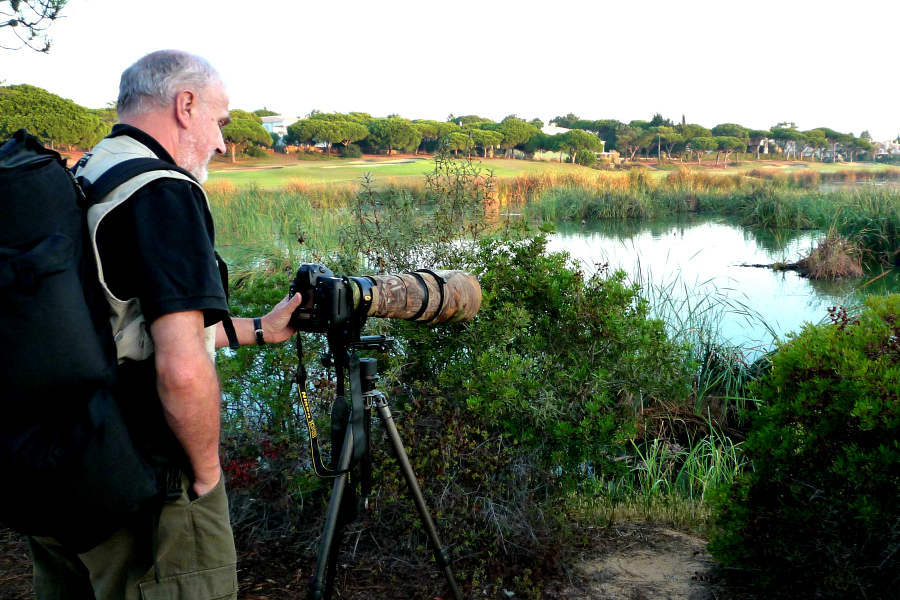 Albanie : ornithologie