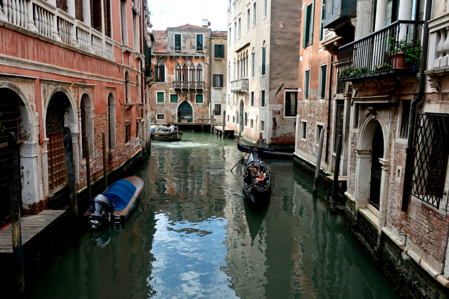 Venise : les canaux rendus aux dauphins ?