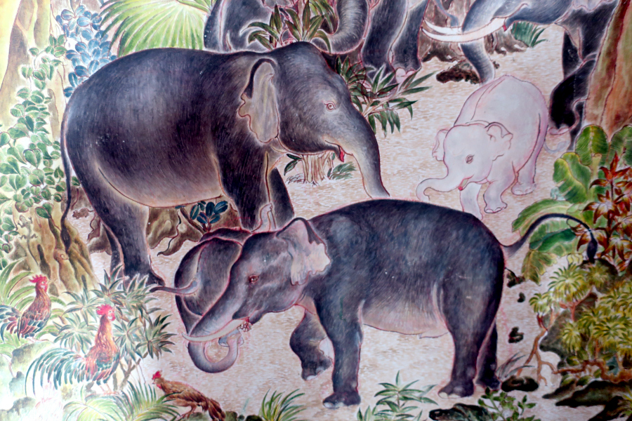 Thaïlande : les éléphants