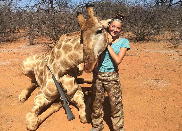 Girafes : la fierté des chasseurs de trophées