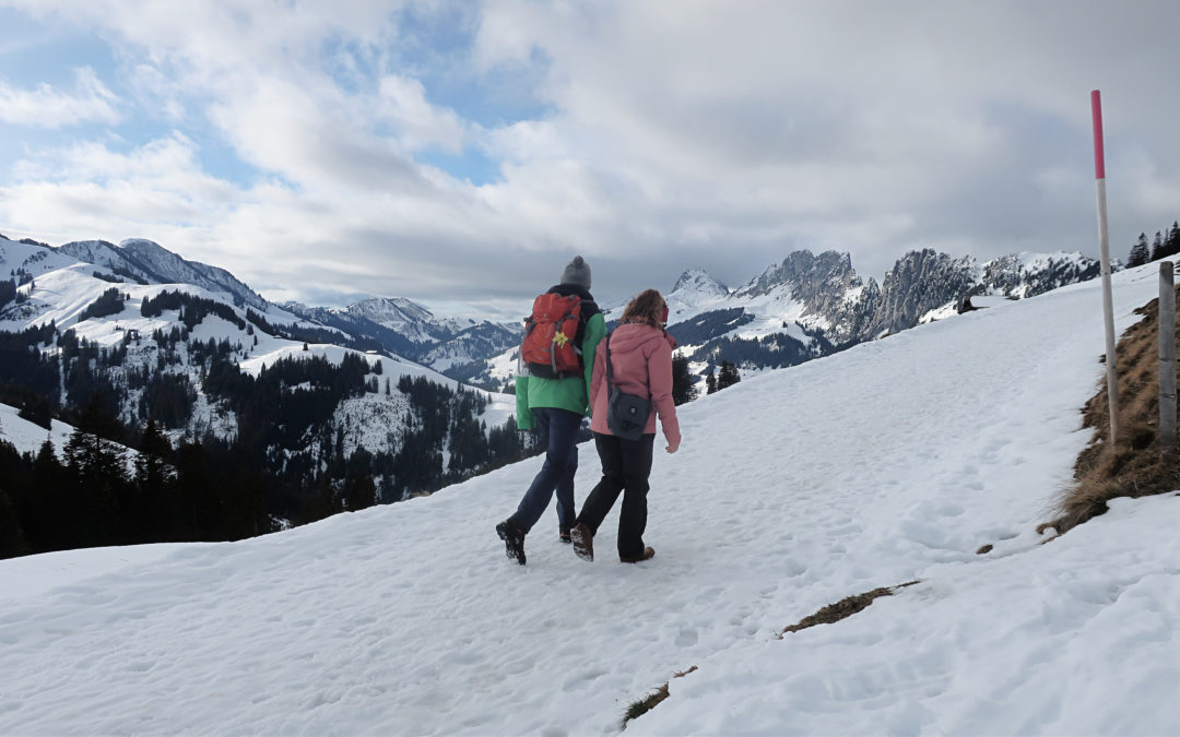 Suisse : une randonnée facile au Col du Jaun