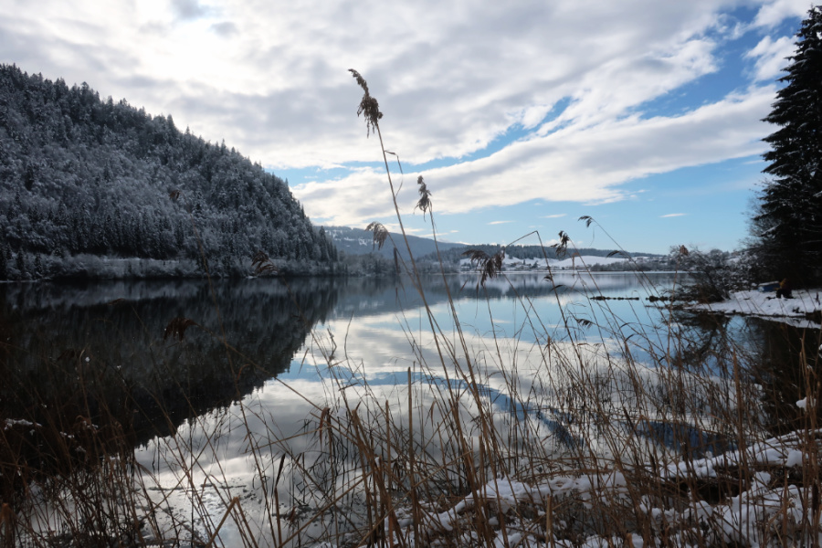 Suisse : VIDEO Lac Brenet