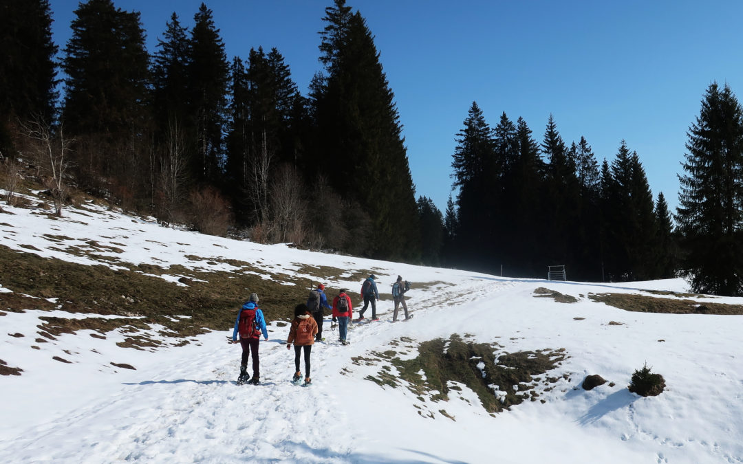 Balades nature au Jura suisse