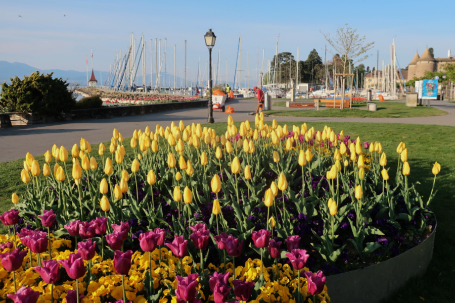 Suisse : VIDEO Morges