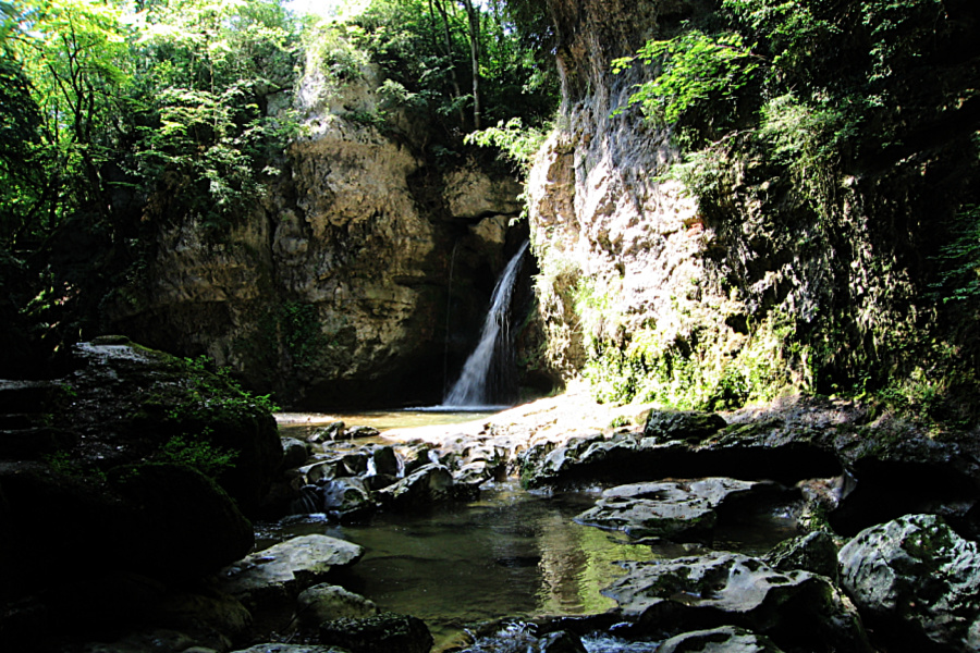 Suisse : VIDEO Tine de Conflens (petite Amazonie)