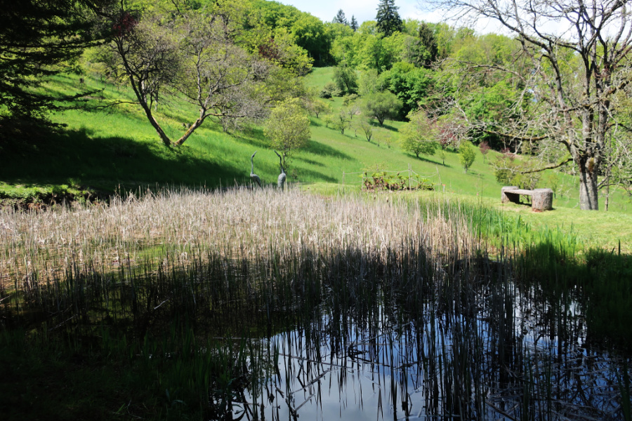 Suisse : VIDEO Arboretum d’Aubonne