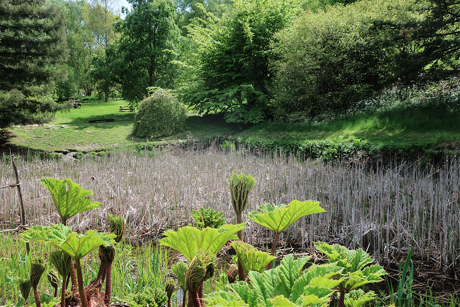 Suisse : l’Arboretum d’Aubonne