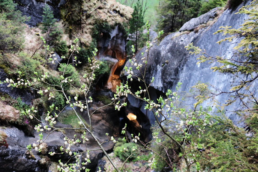 Suisse : VIDEO Gorges du Trümmelbach