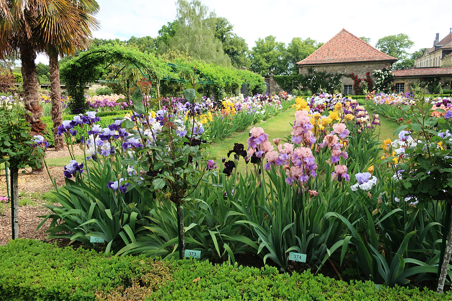 Suisse : VIDEO Vuillerens (Jardin d’iris)