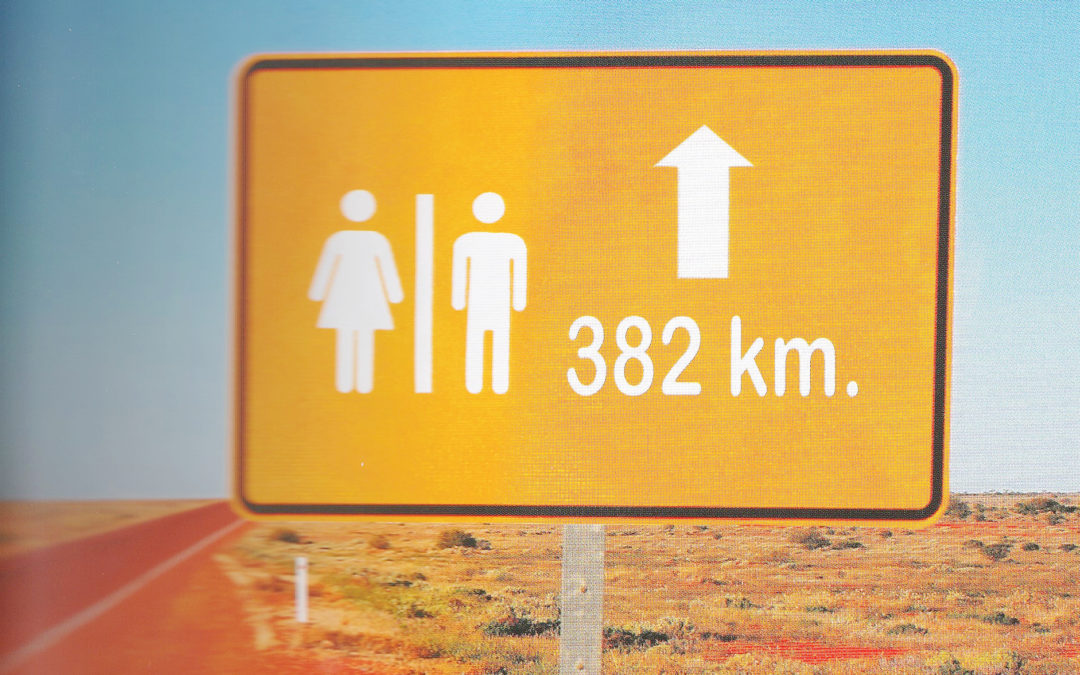 Tourisme insolite : les WC à travers le monde