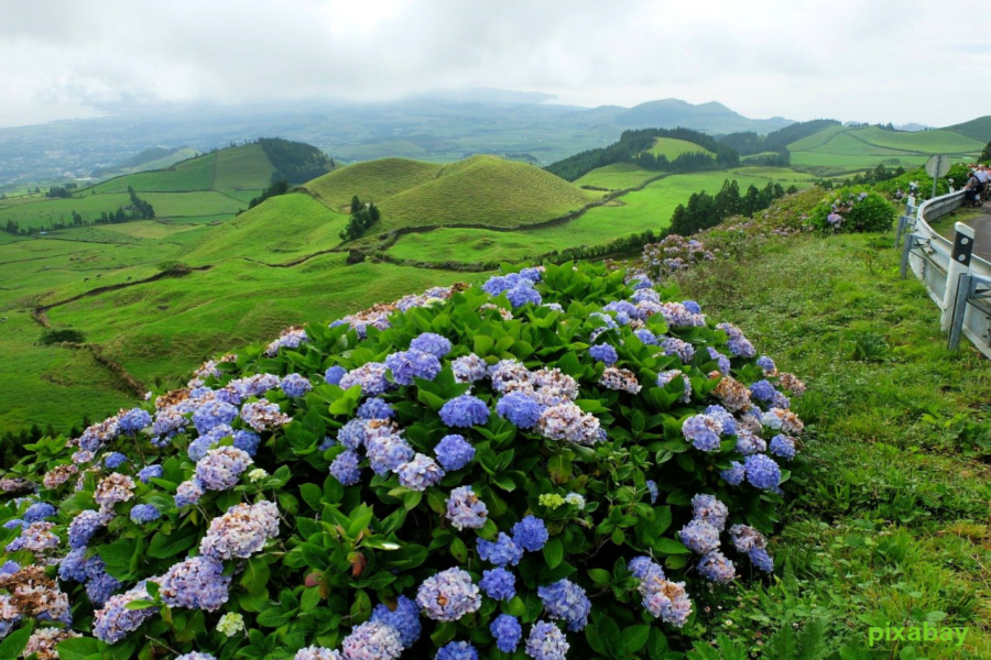 Portugal : VIDEO Açores (Sao Miguel)