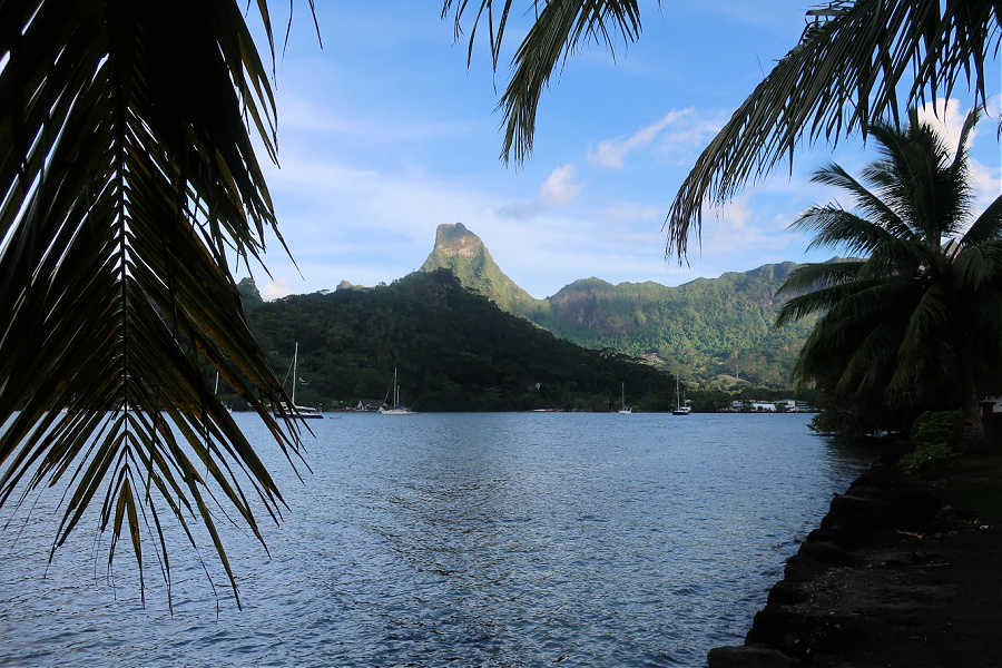 France : VIDEO Moorea (Polynésie)