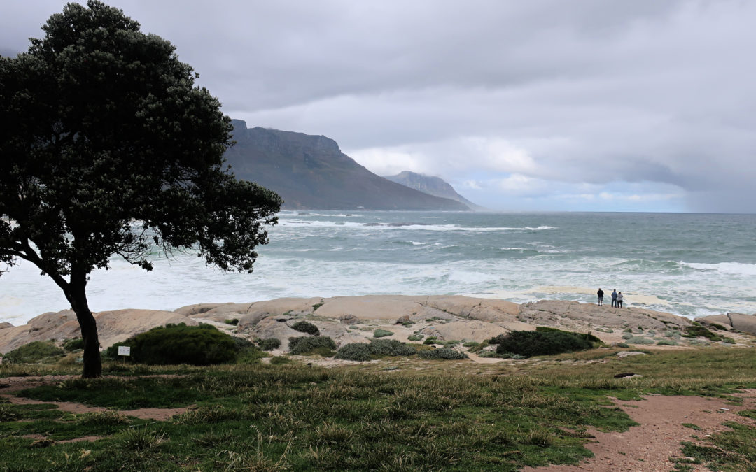 Vacances contrastées en Afrique du Sud